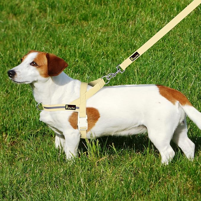 Plutus Pet Cotton Dog Harness and Leash Set, Reflective and Soft Padded, Quick Fit Vest Harness, for Small, Medium and Large Dogs, Light Yellow, L