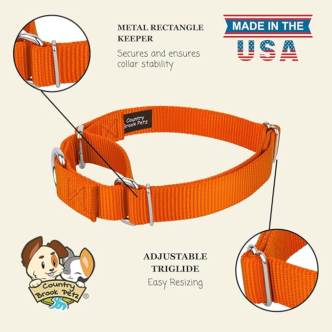 Country Brook Petz Martingale Dog Collar - Heavy-Duty Training Collar with No Buckle - Service Dog Collar for All Pups - Vibrant, Colorful Collection (Orange, 3/8 Inch, 2XS)