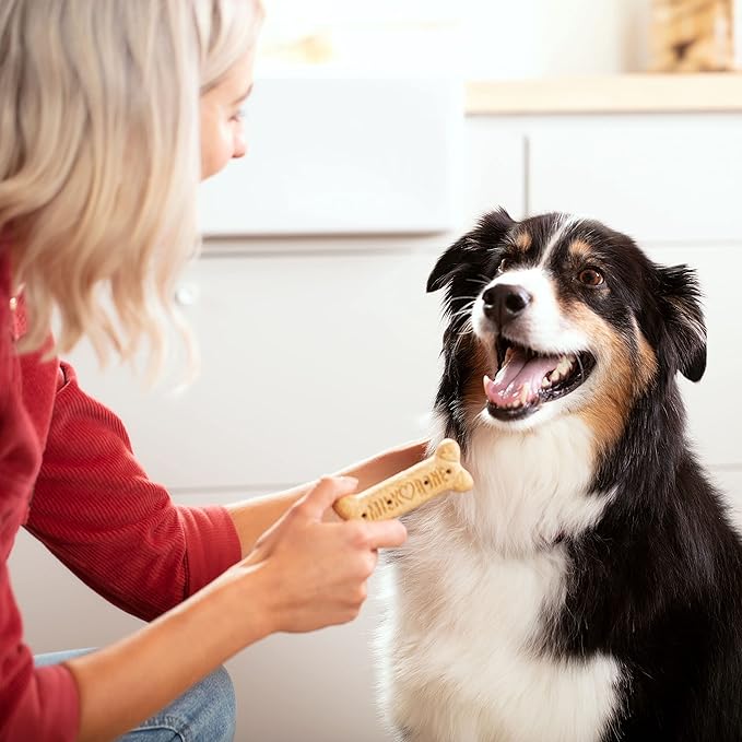 Milk-Bone Original Dog Treats for Large Dogs, 24 Ounce, Crunchy Biscuit Helps Clean Teeth (Pack of 2)