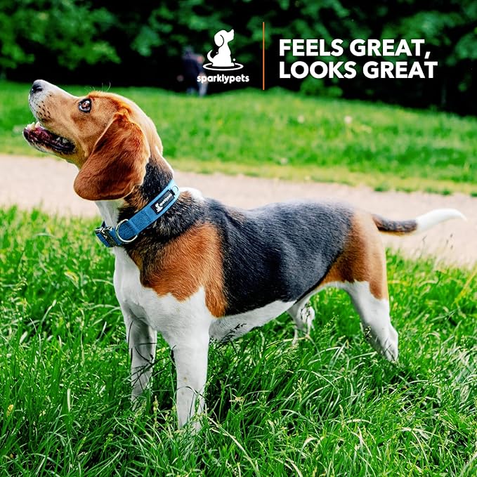 SparklyPets Small Dog Collar with Quick Release Buckle & AirTag Holder – Collars for Female Dogs & Boys with Reflective Stripes & Soft Lining – Perfect for Small & Medium Breeds