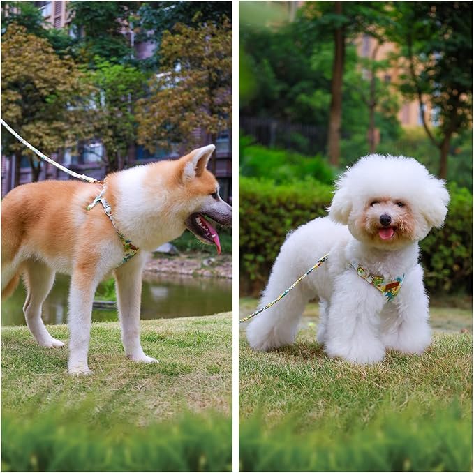 CHEDE No Pull Floral Pattern Dog Harness- Lightweight and Soft Dog Harness, Adjustable Small Dog Harness and Leash Set, with Dog Leash, Suitable for Puppy Small and Medium-Sized Dog