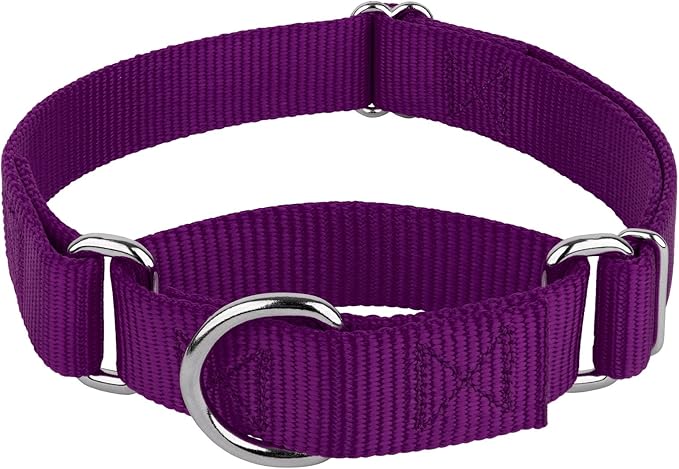 Country Brook Petz Martingale Dog Collar - Heavy-Duty Training Collar with No Buckle - Service Dog Collar for All Pups - Vibrant, Colorful Collection (Purple, 3/8 Inch, 2XS)