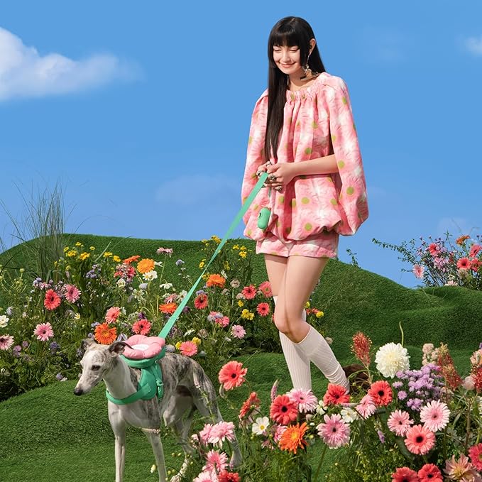 VETRESKA Flora Dog Harness, Leash and Collar Set, No Pull Dog Vest Harness for Walking and Training, Adjustable, Easy Control and Soft Padded Pet Harness and Backpack for Small Medium Large Dogs, XXS