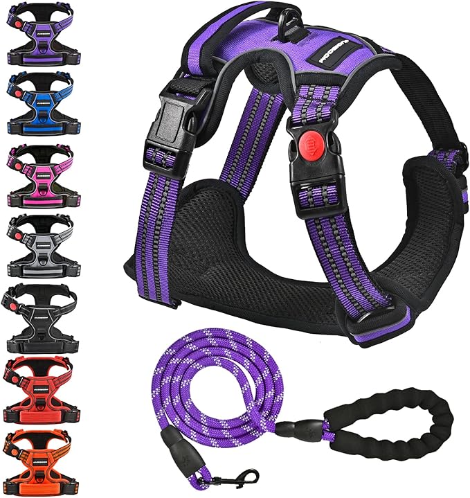 No Pull Dog Harness with Free Heavy Duty 5ft Leash, Adjustable Soft Padded Dog Vest, Reflective No-Choke Oxford Vest for Large Dogs (Purple)