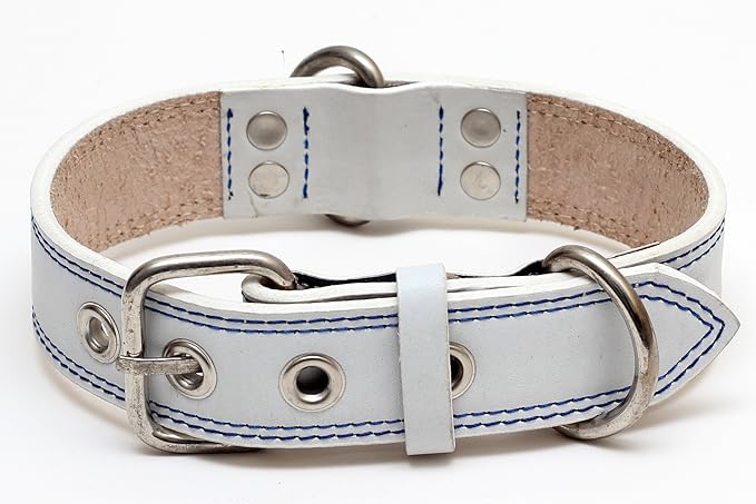 Premium Leather Collars with Stainless Steel Buckles (18"-21", White)