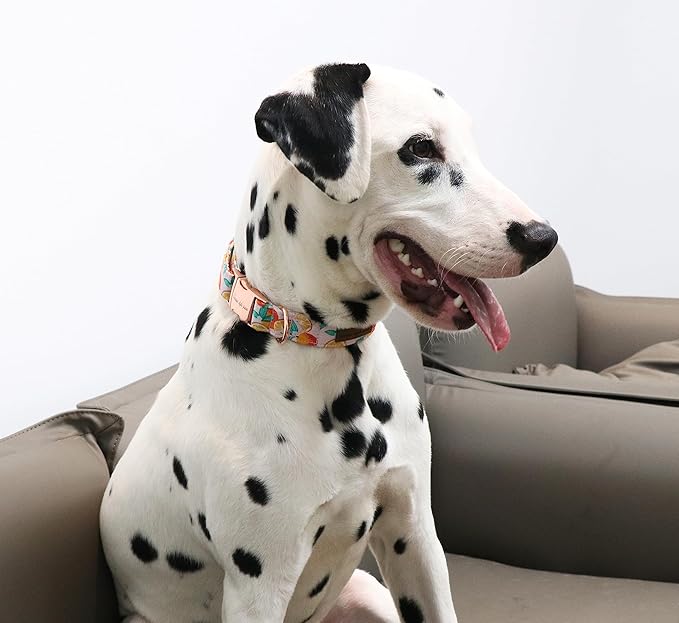 Unique style paws Dog Collar Metal Buckle Orange Collar Gift Durable Cute Collar for Small Medium Large Boys Girls Dogs