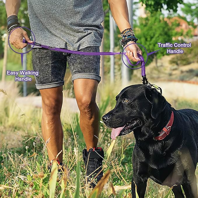 Raipult Shock Absorbing Tactical Dog Leash, 4-6FT Heavy Duty Bungee Leash, Anti-Pull Elastic Training Lead with Car Seatbelt & 2 Handles for Medium Large Dogs,Purple