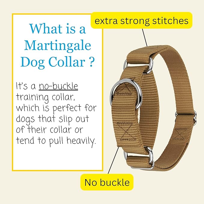 Country Brook Petz Martingale Dog Collar - Heavy-Duty Training Collar with No Buckle - Service Dog Collar for All Pups - Vibrant, Colorful Collection (Coyote Tan, 3/8 Inch, 2XS)