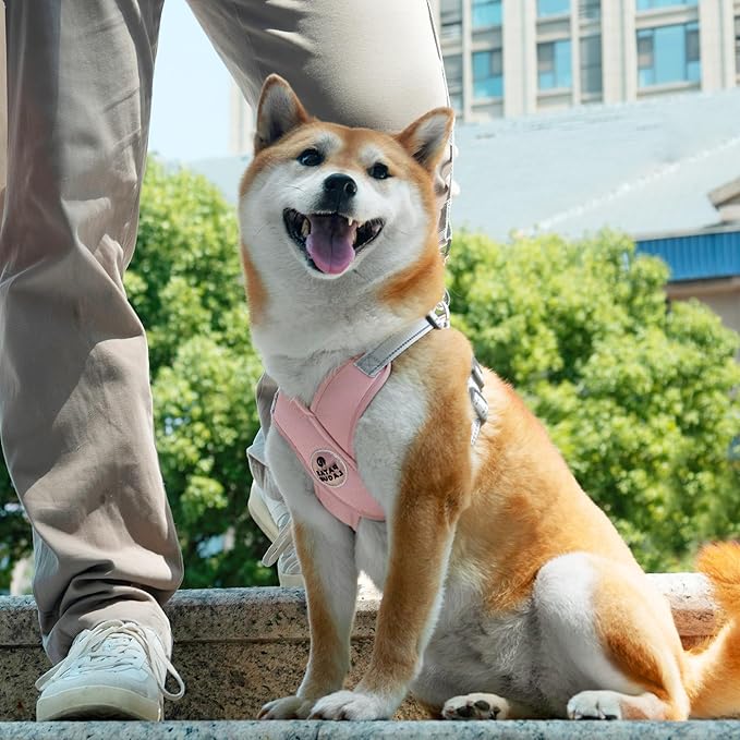 Patas Lague Dog Harness with Leash Set Adjustable Soft Padded Step-in Dog Vest No Choke No Pull Reflective for Medium Pets with Poop Bags and Dispenser, Solid and No-chew, Pink L
