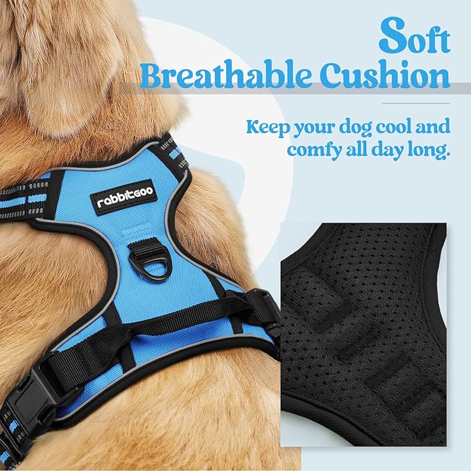 rabbitgoo Dog Harness No Pull with 2 Leash Clips, Adjustable Soft Padded, Reflective Oxford No Choke Pet Vest with Easy Control Handle for Large Dogs, Blue, L