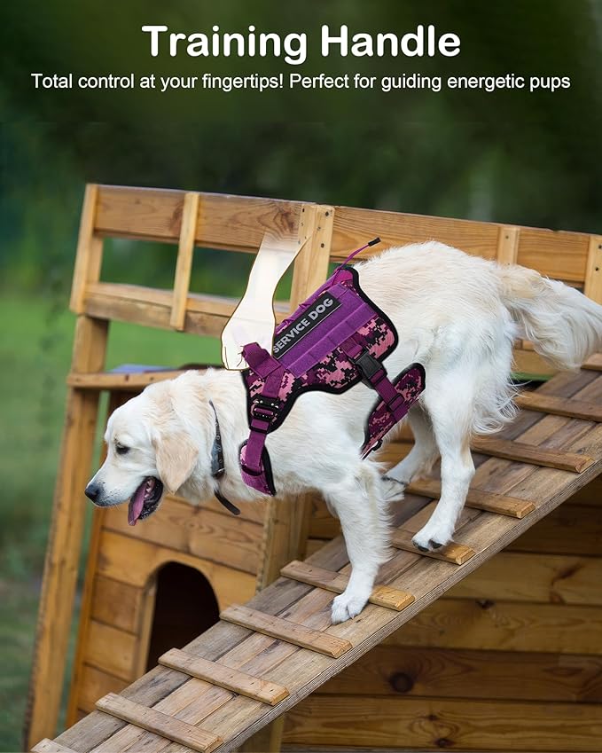 Tactical Dog Harness - PETNANNY Harness Service Dog Vest for Large Breed Dog, Hook and Loop Panel for Service Patchs, Work MOLLE Vest with Handle for Walking Hiking Training(Orange,L)