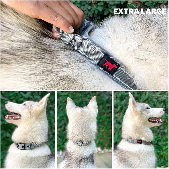 Heavy Duty Dog Collar with Handle | Ballistic Nylon Heavy Duty Collar | Padded Reflective Dog Collar with Adjustable Stainless Steel Hardware | Convenient Sizing for All Breeds X-Large (19-23" Neck)