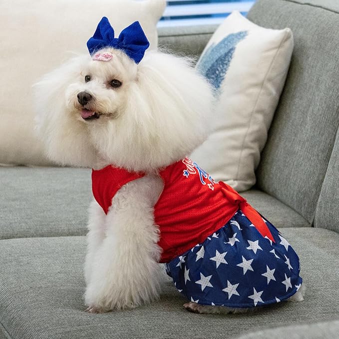 CuteBone Dog Mesh Dress Puppy Sundress Pet Outfit Summer Fashion for Small Dogs Girl Cat Clothes BF26L-D