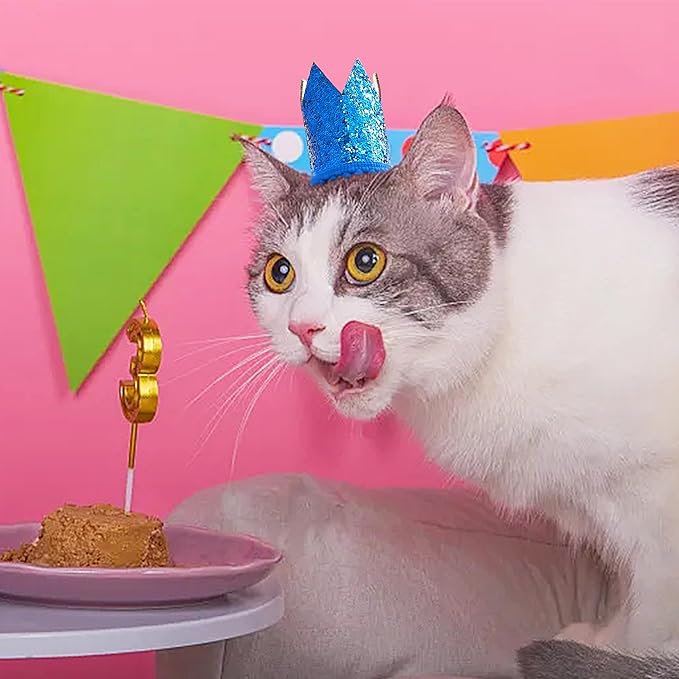 PET SHOW 10 Pack Mini Small Dog Crown Hat Dog Birthday Party Hats Adjustable Headband Hats Cat Rabbit Hats for Holiday Wedding Puppies Kittens Costume Accessories