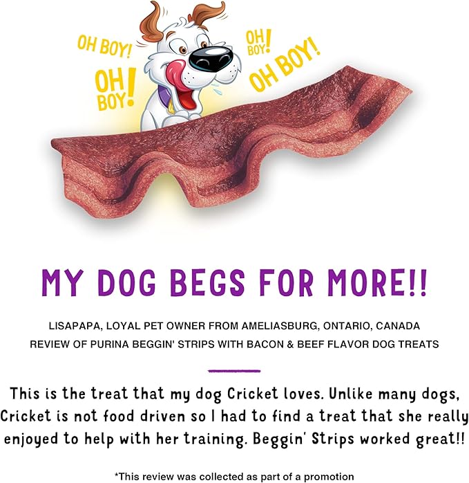 Purina Beggin' Strips With Real Meat Dog Treats With Bacon and Beef Flavors - (Pack of 2) 26 oz. Pouches