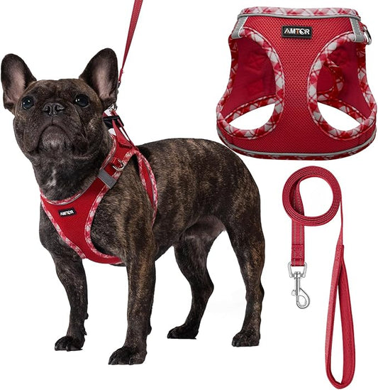 AMTOR Small Dog Harness with Leash Set, No Escape Easy Walk Puppy Harnesses for Training Walking, Step-in Reflective Soft Dogs Vest for XS S Medium Extra-Small Large Sized Dog(XXS Size,Red/White)