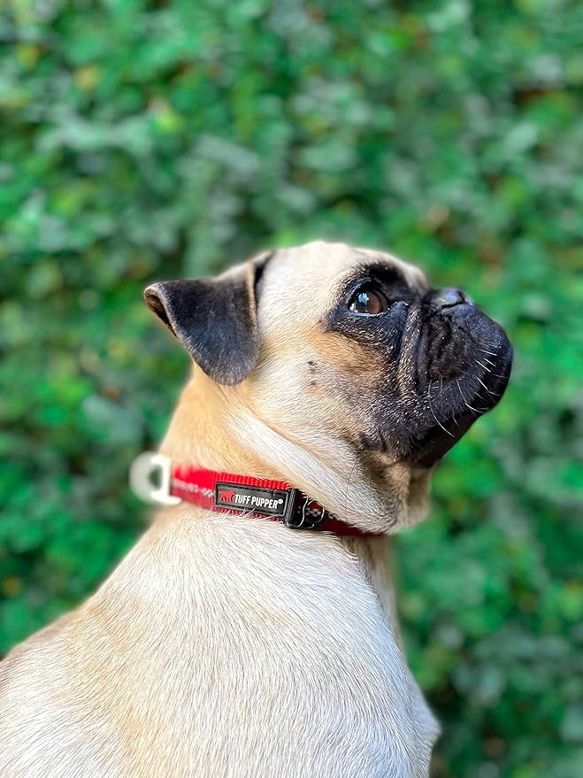 Tuff Pupper Heavy Duty Dog Collar | Reflective with Aluminum D-Ring Leash Clip | Separate Dog ID Tag Attachment | Easy Sizing for All Breeds