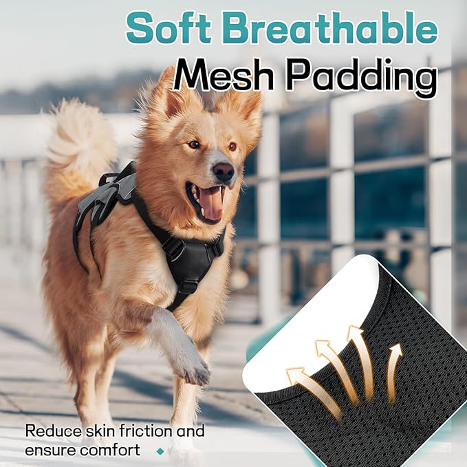 rabbitgoo Escape Proof Dog Harness, Soft Padded Full Body Pet Harness, Reflective Adjustable No Pull Vest with Lift Handle and Leash Clip for Large Dogs Walking Hiking Training, L, Grey