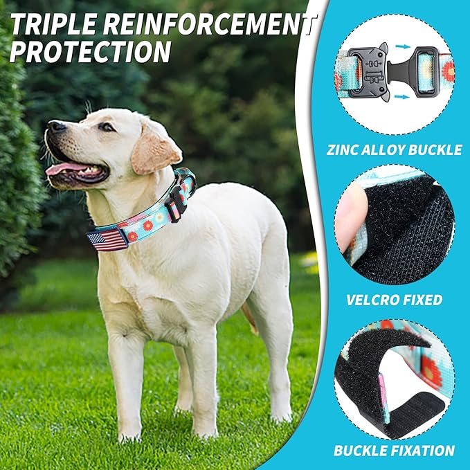 Hotsky Tactical Dog Collar, Adjustable Military Training Nylon Airtag Collar with Handle and Heavy Duty Metal Buckle for Medium Large Dogs, with Airtag Holder and Two Patches(Daisy,XL)