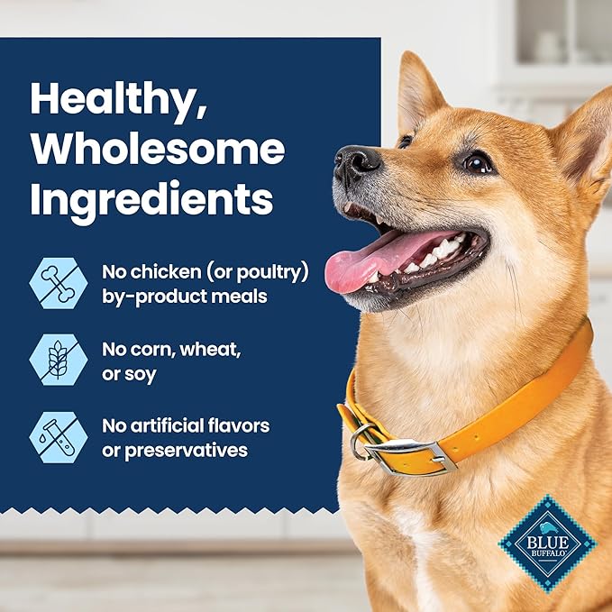 Blue Buffalo Large Dental Chews for Dogs, Daily Dental Care Dog Treats Made in The USA with Natural Ingredients, Chicken & Spearmint (44-oz Box, 28 Count)