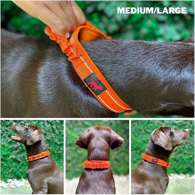 Heavy Duty Dog Collar With Handle | Ballistic Nylon Heavy Duty Collar | Padded Reflective Dog Collar With Adjustable Stainless Steel Hardware | Convenient Sizing for All Breeds