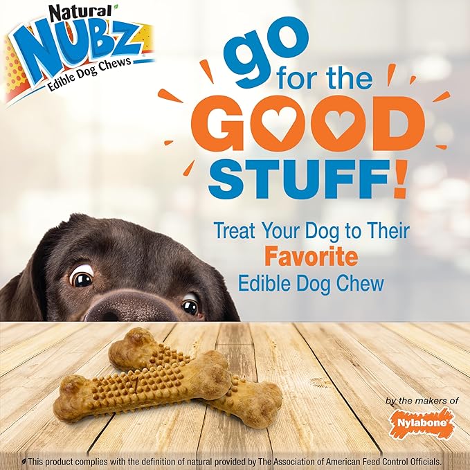 Nylabone Nubz Natural Edible Dog Chew Treats for Small Dogs, Long Lasting Dog Bones Made in USA, Chicken Flavor Dental Chews, for Dogs Up to 25 lbs. (36 Count)