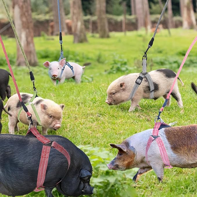 Mini Pig Harness, Adjustable Small Pig Harness with Leash Infinity Style Lead and Soft Foam Handle for Small to Medium Pet Pigs Walking Training Jogging (Green, L)