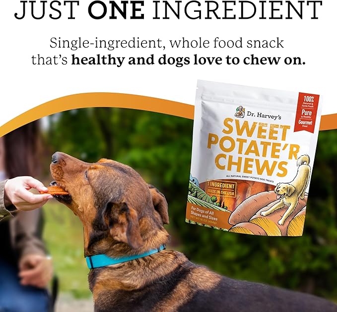 Dr. Harvey's Sweet Potate'r Chews - Natural Sweet Potato Treat for Dogs (16 ounces)