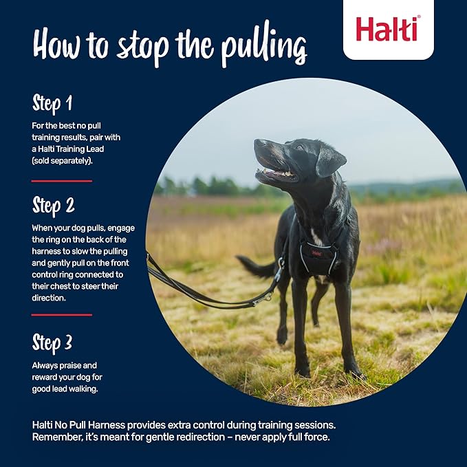 HALTI No Pull Harness - to Stop Your Dog Pulling on The Leash. Adjustable, Lightweight and Easy to Use. Reflective Dog Training Harness for Toy and Small Dogs (Size XS, Desert Sand)