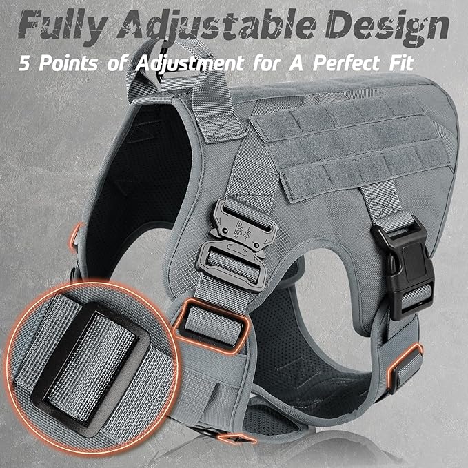 rabbitgoo Tactical Dog Harness for Small, Heavy Duty Pet Harness with Handle, No-Pull Service Vest Small Breed, Adjustable Military Dog Vest for Training Hunting Walking, Grey, S