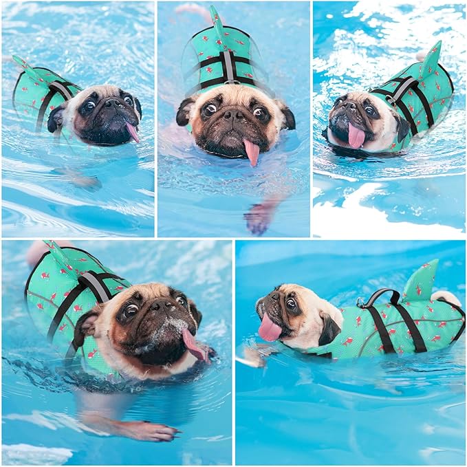 Queenmore Dog Life Jacket Small, Dog Life Vest for Swimming, Shark Life Jacket for Boating with Handle/Leash Hook, Lightweight Puppy Cats Floating Vest for Swim Water Pool