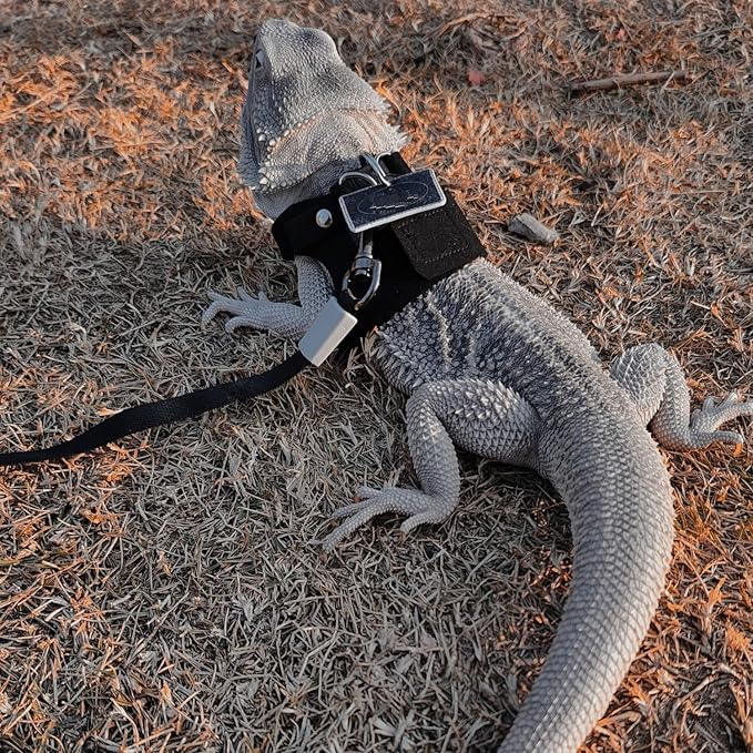 3 Pack Bearded Dragon Harness and Leash Set - Adjustable Soft Leather Lizard Harness with Retractable Leash Small Animal Traction Rope Walking Vest Accessories for Reptile Squirrel Rat (Black)