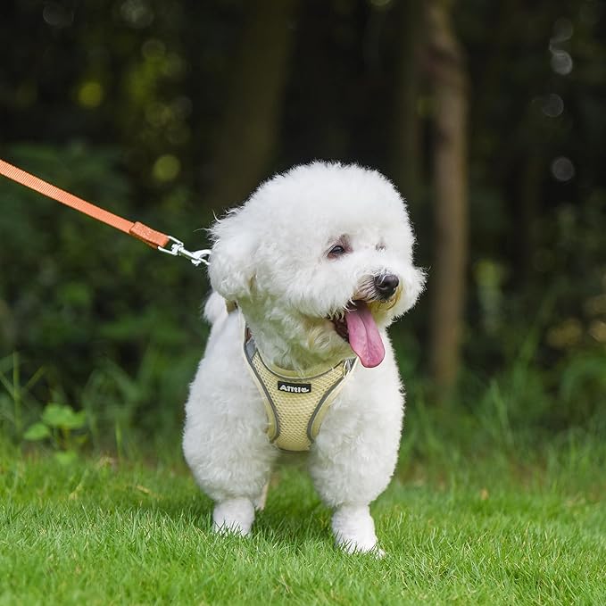 AIITLE No Pull Dog Harness and Leash Set, Step in Adjustable Dog Harness with Padded Vest for All Weather, Dog Leash with Soft Padded Handle, Easy to Put on Small and Medium Dogs Beige S