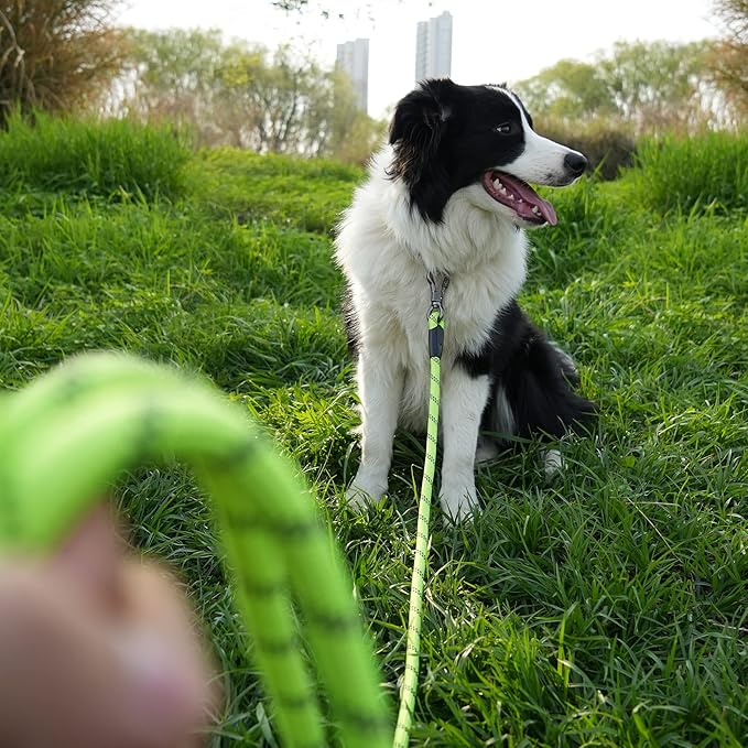 NTR Heavy Duty Dog Leash, 15FT Training Leash with Swivel Lockable Hook and Comfortable Padded Handle, Dog Lead for Walking, Hunting, Camping, Backyard for Small Medium and Large Dogs