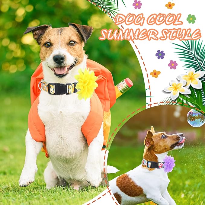 Kajaia 4 Pack Spring Summer Cute Dog Collars for Small Medium Large Female Dogs with Removal Flower Adjustable Nylon Pet Collars(Medium)