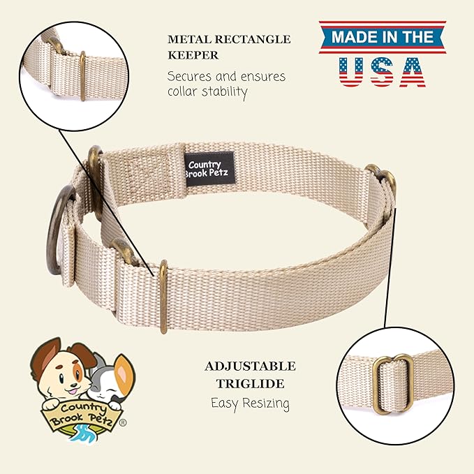 Country Brook Petz Martingale Dog Collar - Heavy-Duty Training Collar with No Buckle - Service Dog Collar for All Pups - Vibrant, Colorful Collection (Almond, 3/4 Inch, Small)