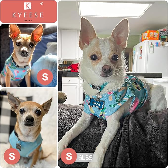 KYEESE 2 Pack Dog Shirt for Small Dogs Quick Dry Lightweight Dog T-Shirts with Reflective Label Tank Top Sleeveless Vest Cat Shirts for Summer UV Protection Strawberry Pattern, Small, Strawberry+Rose