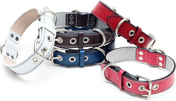 Premium Leather Collars with Stainless Steel Buckles (18"-21", Pink)