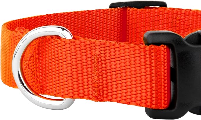 Country Brook Petz - American-Made Dog Collar for Large, Medium, and Small Dogs and Puppies - Deluxe Heavy Duty Nylon in 33 Dazzling Colors (3XS, 3/8 Inch Wide, Hot Orange)