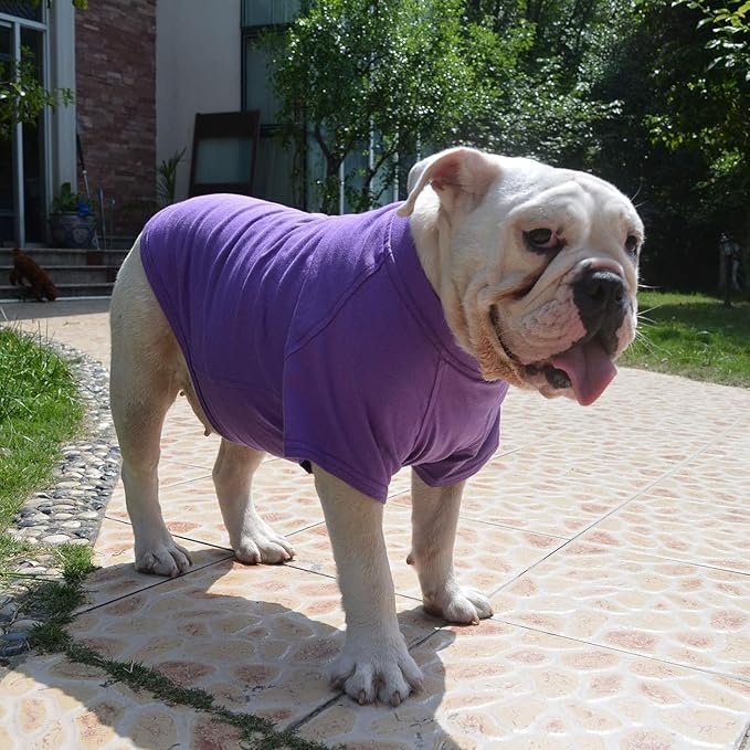 Lovelonglong Bulldog Clothes Dog Clothing Blank T-Shirt Tee Shirts for French Bulldog English Bulldog American Pit Bull Pugs 100% Cotton Skin Care Purple B-M