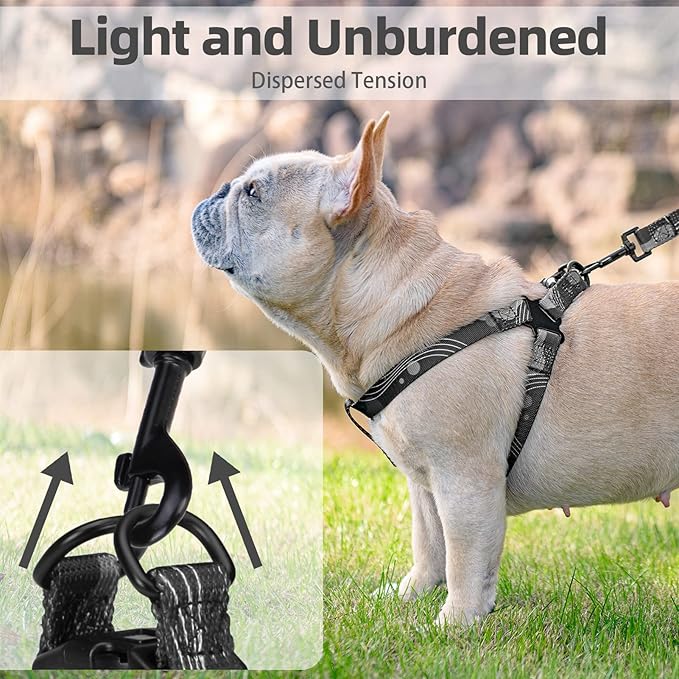 PUPTECK No Pull Dog Harness Soft Adjustable Basic Nylon Step in Puppy Vest Outdoor Walking with Leash Medium Printed Black