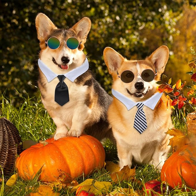Weewooday 8 Pcs Pet Dog Cat Costume Cat Tie Collar Glasses for Small Dog Round Metal Retro Sunglasses Tie Pet Costume Tuxedo Necktie Collar Puppy Accessories Halloween Cosplay Party(Classic Colors)