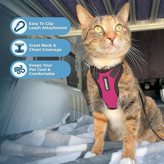 Voyager Step-in Lock Adjustable Cat Harness w. Cat Leash Combo Set with Neoprene Handle 5ft - Supports Small, Medium and Large Breed Cats by Best Pet Supplies - Fuchsia/Black Trim, XXS