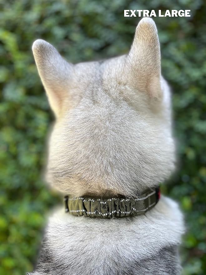 Tuff Pupper Heavy Duty Dog Collar with Handle | Ballistic Nylon Heavy Duty Collar | Padded Reflective Dog Collar with Adjustable Stainless Steel Hardware | Convenient Sizing for All Breeds