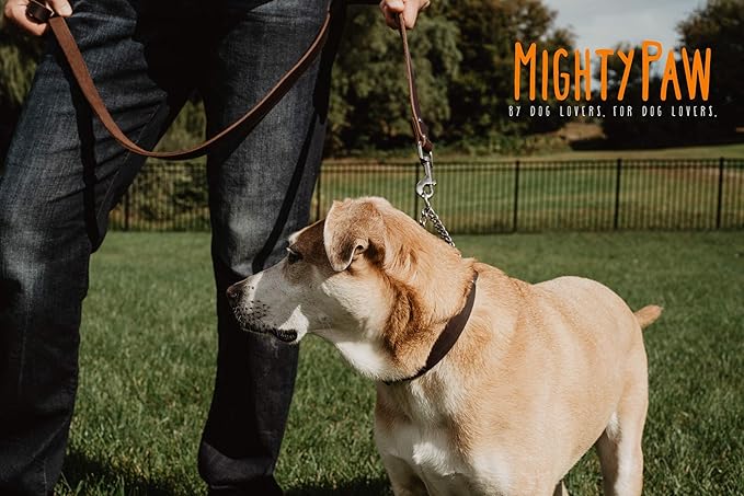 Mighty Paw Martingale Dog Collar - No Pull Design - Stainless Steel Chain - Limited Chain Cinch Training - Brown Leather Martingale Training Collar - Medium Size
