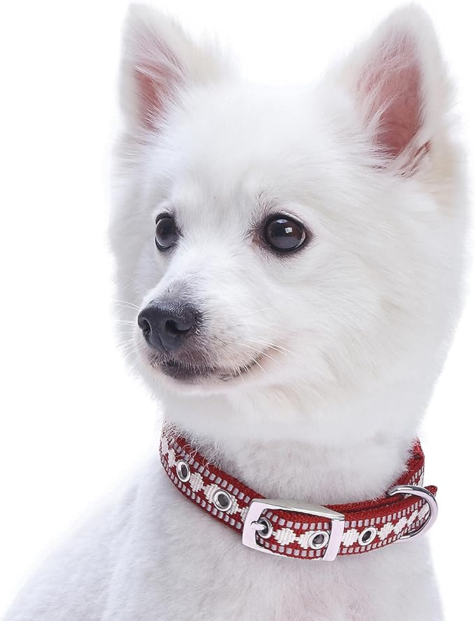 Blueberry Pet Soft & Safe 3M Reflective Jacquard Neoprene Padded Adjustable Dog Collar with Metal Buckle - Marsala Red, Neck 9-12.5", for Small Breed