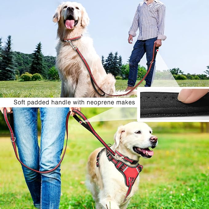 WINSEE Pet Harness Collar and Leash Set, All-in-one Reflective Dog Harness No Pull with Adjustable Buckles for Puppies, Small, Medium, Large, and Extra-Large Dogs (Small, Red)