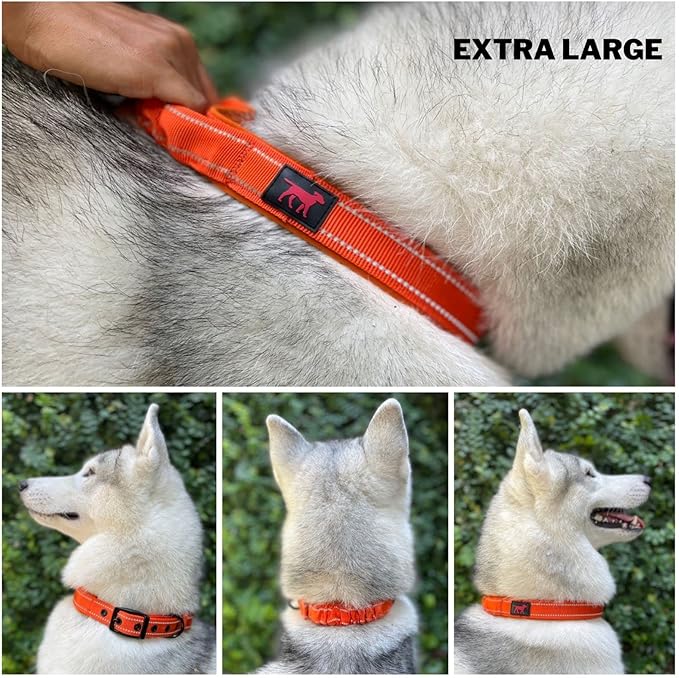 Heavy Duty Dog Collar with Handle | Ballistic Nylon Heavy Duty Collar | Padded Reflective Dog Collar with Adjustable Stainless Steel Hardware | Convenient Sizing for All Breeds X-Large (19-23" Neck)
