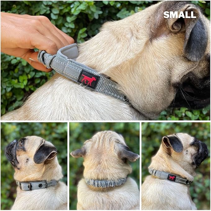 Heavy Duty Dog Collar with Handle | Ballistic Nylon Heavy Duty Collar | Padded Reflective Dog Collar with Adjustable Stainless Steel Hardware | Convenient Sizing for All Breeds