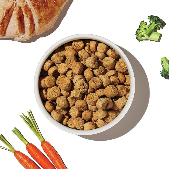 The Honest Kitchen Whole Food Clusters Grain Free Chicken Dry Dog Food, 20 lb Bag